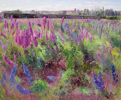 The Delphinium Field, 1991 by Timothy Easton